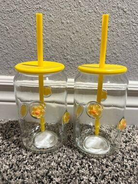NEW Viral Glass Tumblers with Lids & Straws - Set of 2